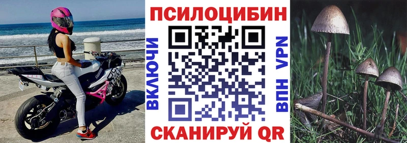 Псилоцибиновые грибы GOLDEN TEACHER MEGA маркетплейс это Telegram Азов
